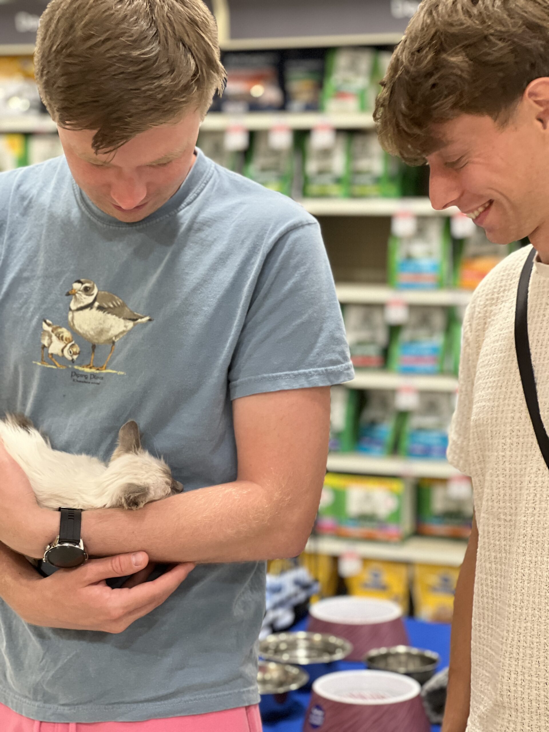 Man holding kitten